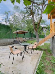 A garden outside Sabauri