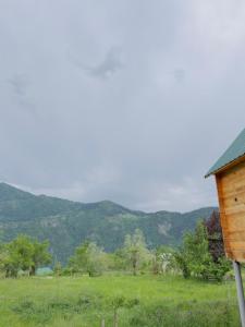 Táj az apartman közelében