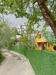 Táj az apartman közelében