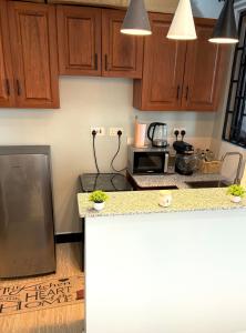 Kuchyň nebo kuchyňský kout v ubytování Amaroz House