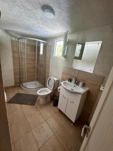 Un baño con inodoro, lavabo y ducha. en La Burlacu, en Eşelniţa