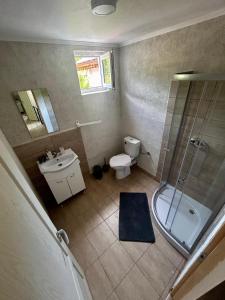 Un baño con ducha, inodoro y lavabo. en La Burlacu, en Eşelniţa 18 fotos más