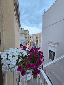 a bunch of flowers sitting on a balcony at Little Home in Trani