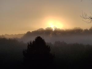 a misty sunrise with the sun rising behind trees at Terres du Milieu in Saint-Mayme-de-Pereyol