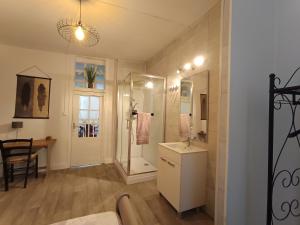 a bathroom with a shower and a sink and a mirror at Le Liberté appartement privatif in Saint-Léonard-de-Noblat