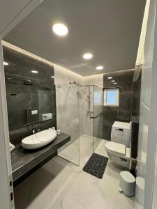 Un baño con inodoro, lavabo y ducha. en Villa Roko, en Omiš 42 fotos más