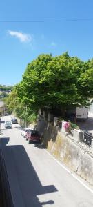 Un árbol al costado de una calle con autos. en La Petra, en Caltabellotta