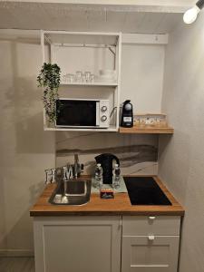 a small kitchen with a sink and a microwave at Florence Colonna Spa in Florence