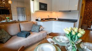 Kuchyňa alebo kuchynka v ubytovaní Apartamenty Sun & Snow Krynica Zdrój Pułaskiego