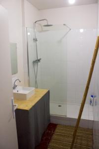 Un baño con lavabo y ducha en Les chambres Saint-Roch, en Arles