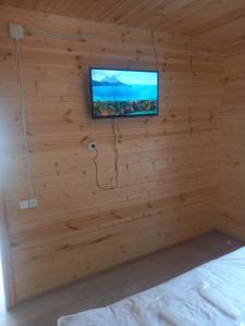 TV a/nebo společenská místnost v ubytování Пляжный дом