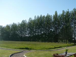 Zahrada ubytování Braeburn Lodge