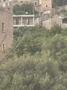 Fotografie z fotogalerie ubytování Mani Spot Nezoulas v destinaci Álika