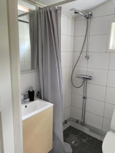 a bathroom with a shower curtain and a sink at Cozy cottage on horse farm in Bollnäs in Bollnäs