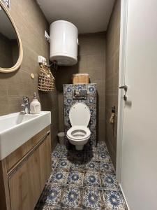 a bathroom with a toilet and a sink at Splav Casa Luna in Ostružnica