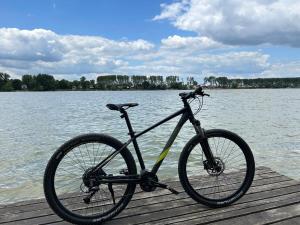 a bike parked on a dock next to a lake at Splav Casa Luna in Ostružnica