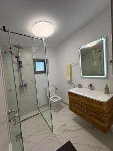 ein Badezimmer mit Dusche, Waschbecken und Toilette in der Unterkunft Casa Agigea in Agigea