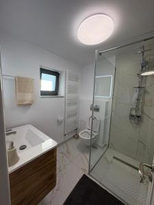 ein Badezimmer mit Dusche, Waschbecken und Toilette in der Unterkunft Casa Agigea in Agigea + 18 Fotos