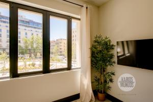 Una habitación con ventanas y un televisor y una planta. en Bright Apt para 4pax en Gran Via-Plaza de Carmen E2, en Madrid
