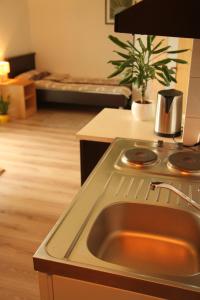 Kuchyň nebo kuchyňský kout v ubytování Apartments Strmac