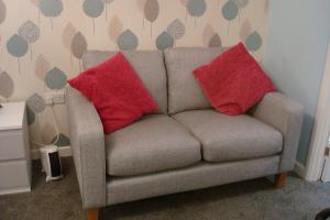 two red pillows on a gray couch in a room at Talybont B&B Aberystwyth in Talybont