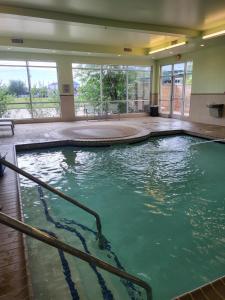 Bazén v ubytování SpringHill Suites by Marriott Houston Westchase nebo v jeho okolí