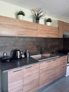 Kuchyň nebo kuchyňský kout v ubytování Moxy Paxos Apartments