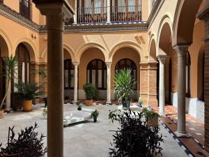 En have udenfor Pajaritos Luxury by Valcambre