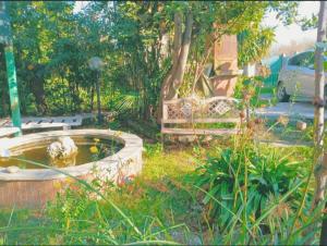 a garden with a bench and a fountain in the grass at Dream of Eden in Rome +4 photos