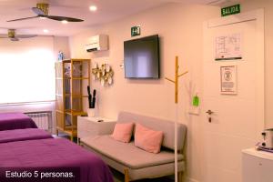 TV a/nebo společenská místnost v ubytování Chueca - Room Apartments