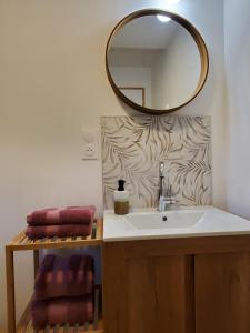 een badkamer met een wastafel en een spiegel aan de muur bij Le Jardin des Papillons, gîte et chambre d'hôtes à Saint Fraimbault in Saint-Fraimbault-sur-Pisse +9 foto's