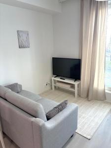 un salon avec un canapé et une télévision à écran plat dans l'établissement Foliate Living Nuppu, à Jyväskylä