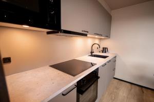 Kuchyň nebo kuchyňský kout v ubytování Hotel Melfarhus