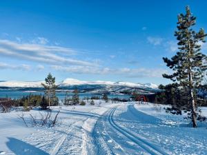 a snow covered road with snow covered mountains in the background at Eidekollen in Tromsø +10 photos