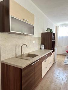 A kitchen or kitchenette at Apartmány Silvia