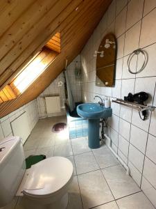 a bathroom with a toilet and a sink at Charmante petite maison in Bourgheim +20 photos