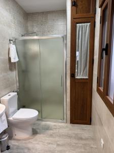 a bathroom with a toilet and a glass shower at Apartamentos La Gruta de Aracena con patio in Aracena
