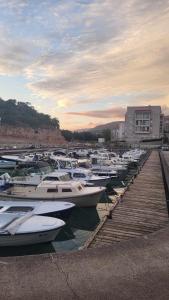 Naturlandskabet i nærheden af lejligheden