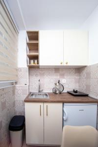 Kuchyň nebo kuchyňský kout v ubytování Jadran Apartments