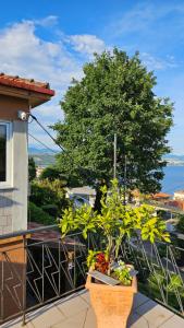 Φυσικό τοπίο κοντά σε αυτό το διαμέρισμα +17 φωτογραφίες