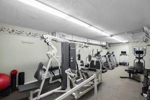 Fitness centrum a/nebo fitness zařízení v ubytování Nettles Island 0057