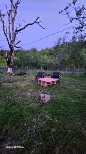 Ảnh trong thư viện ảnh của Karavani ở Kʼveda Tʼlughi