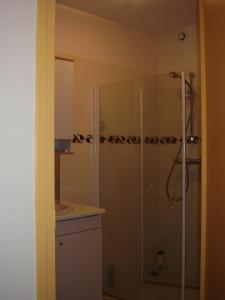 uma casa de banho com um chuveiro e um lavatório. em Holiday home Gîte des Hautes Côtes de Beaune em Magny-lès-Villers