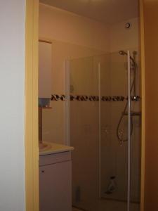 a bathroom with a shower and a sink at Holiday home Gîte des Hautes Côtes de Beaune in Magny-lès-Villers +17 photos