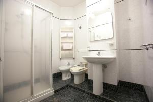 索托馬里納的住宿－大獎賽酒店，浴室配有卫生间、盥洗盆和淋浴。
