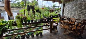 a greenhouse filled with lots of potted plants at Kandy Comforts in Kandy