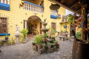 Zahrada ubytování Hotel Caxa Real