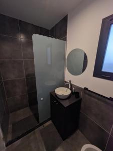 a bathroom with a toilet and a sink and a mirror at Cabaña Container en Viñedos in San Rafael +22 photos