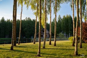 Zahrada ubytování Amoliņi + 13 fotografií