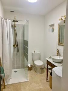 a bathroom with a shower and a toilet and a sink at La Maison des Pérolles in Santenay